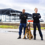 Chantier agent cynophile sécurité privée